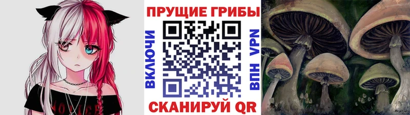 Купить где Тарко-Сале Галлюциногенные грибы прущие грибы